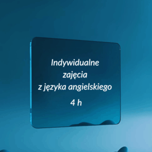 indywidualne zajęcia z języka angielskiego 4h